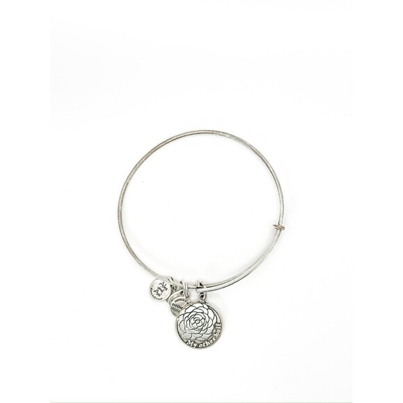 Alex and Ani My Other Half Expandable Bracelet Charm - Picture 1 of 2